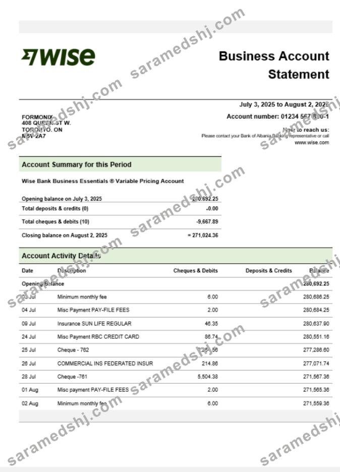 Wise company checking account statement Word and PDF template